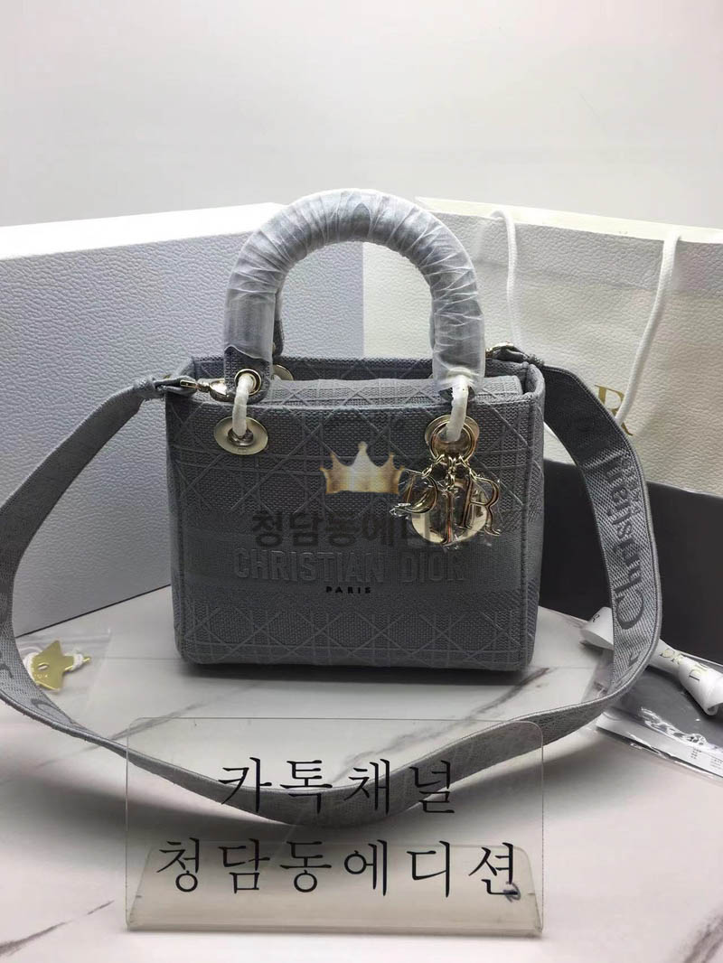 디올 레이디백 패브릭