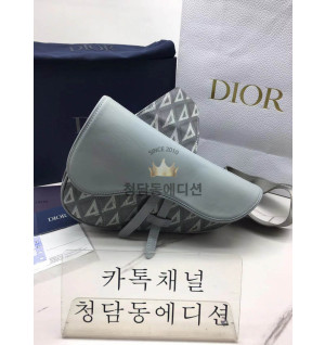 디올 다이아몬드 CD 새들백 스몰