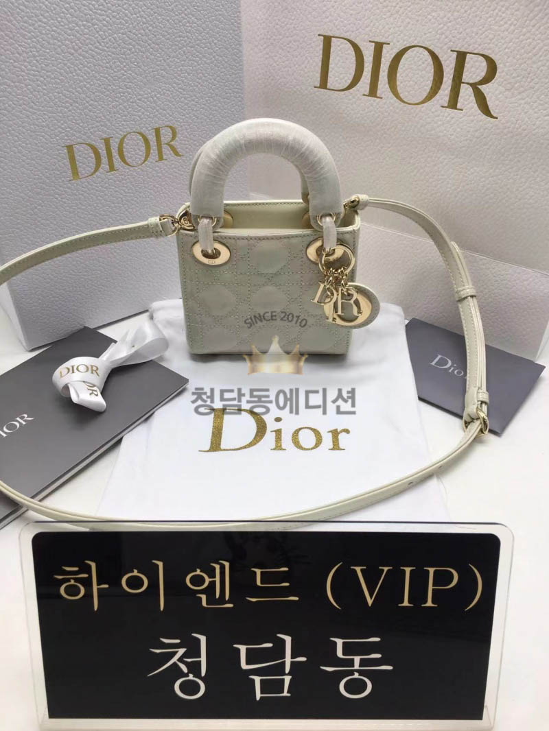 디올 레이디백 페이던트 마이크로