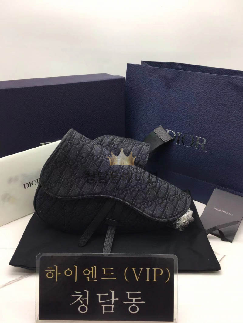 디올 오블리크 새들백 스몰