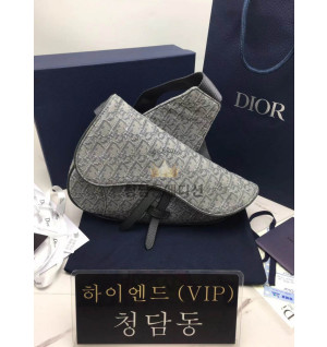 디올 오블리크 새들백 스몰