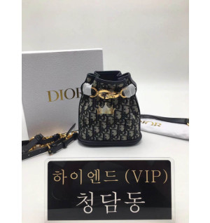 디올 CD C'EST 오블리크 백 스몰 / 미디움