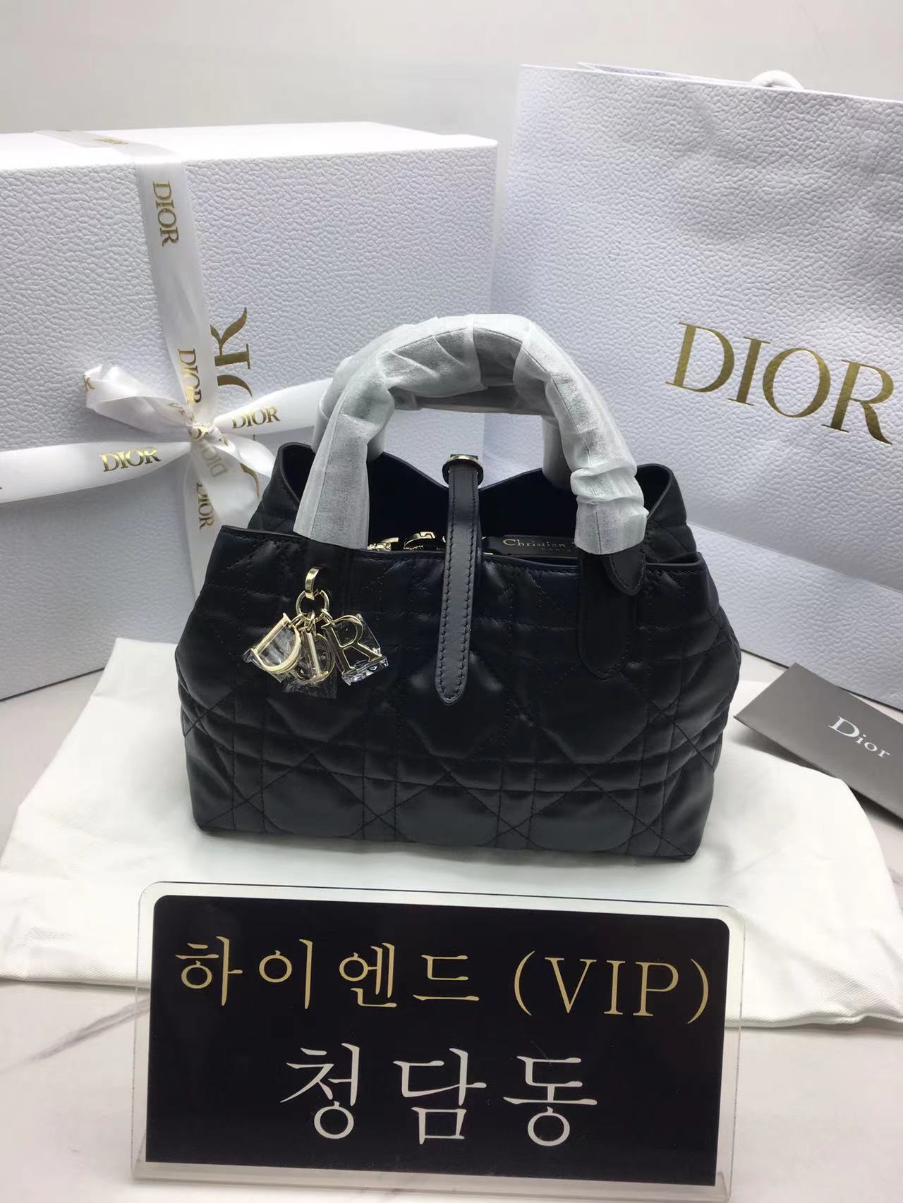 디올 뚜주흐 스몰백