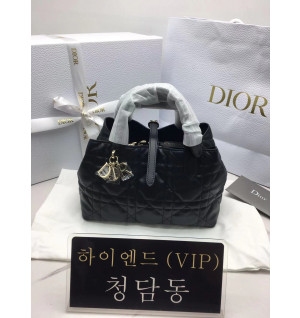 디올 뚜주흐 스몰백