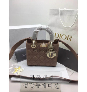 [정품동일가죽] 디올 레이디백 스몰 최고퀄