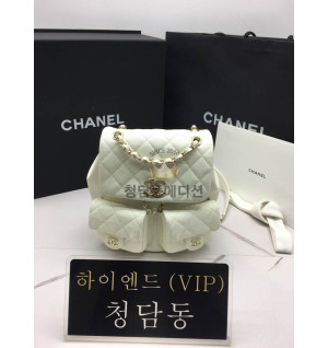 샤넬 22P 듀마 투포켓 백팩 미디움 카프스킨 캐비어 (하이엔드급)