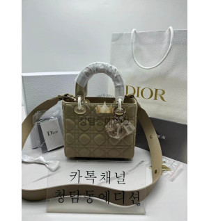 디올 램스킨 레이디백 MY ABC