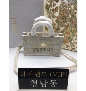 디올 북토트백 미니 숄더스트랩