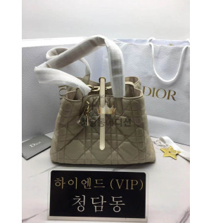 디올 뚜주흐 미디움 백 (upgrade ver.)
