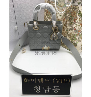 디올 레이디백 스몰 (upgrade ver)