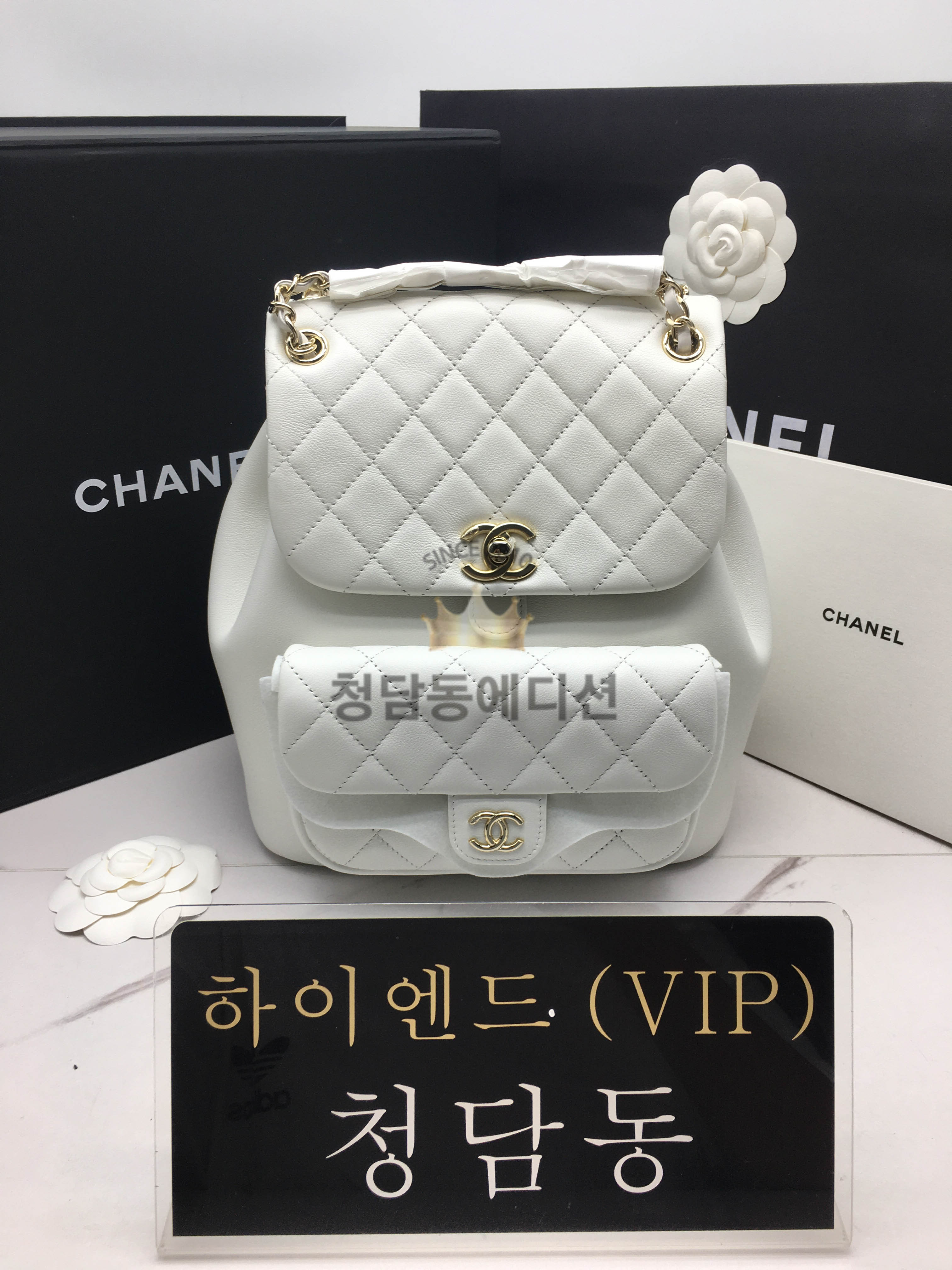 샤넬 22c 듀마 백팩 미디움 카프스킨