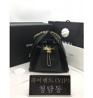샤넬 25c 크루즈 뉴 호보백 캐비어 스몰 (25백)