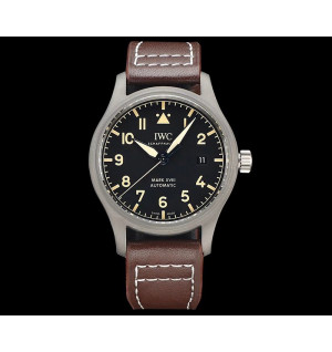 IWC 마크 XX 40mm