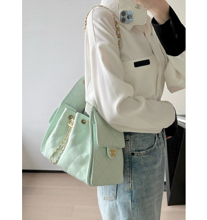 샤넬 25c 크루즈 뉴 호보백 스몰 (25백)