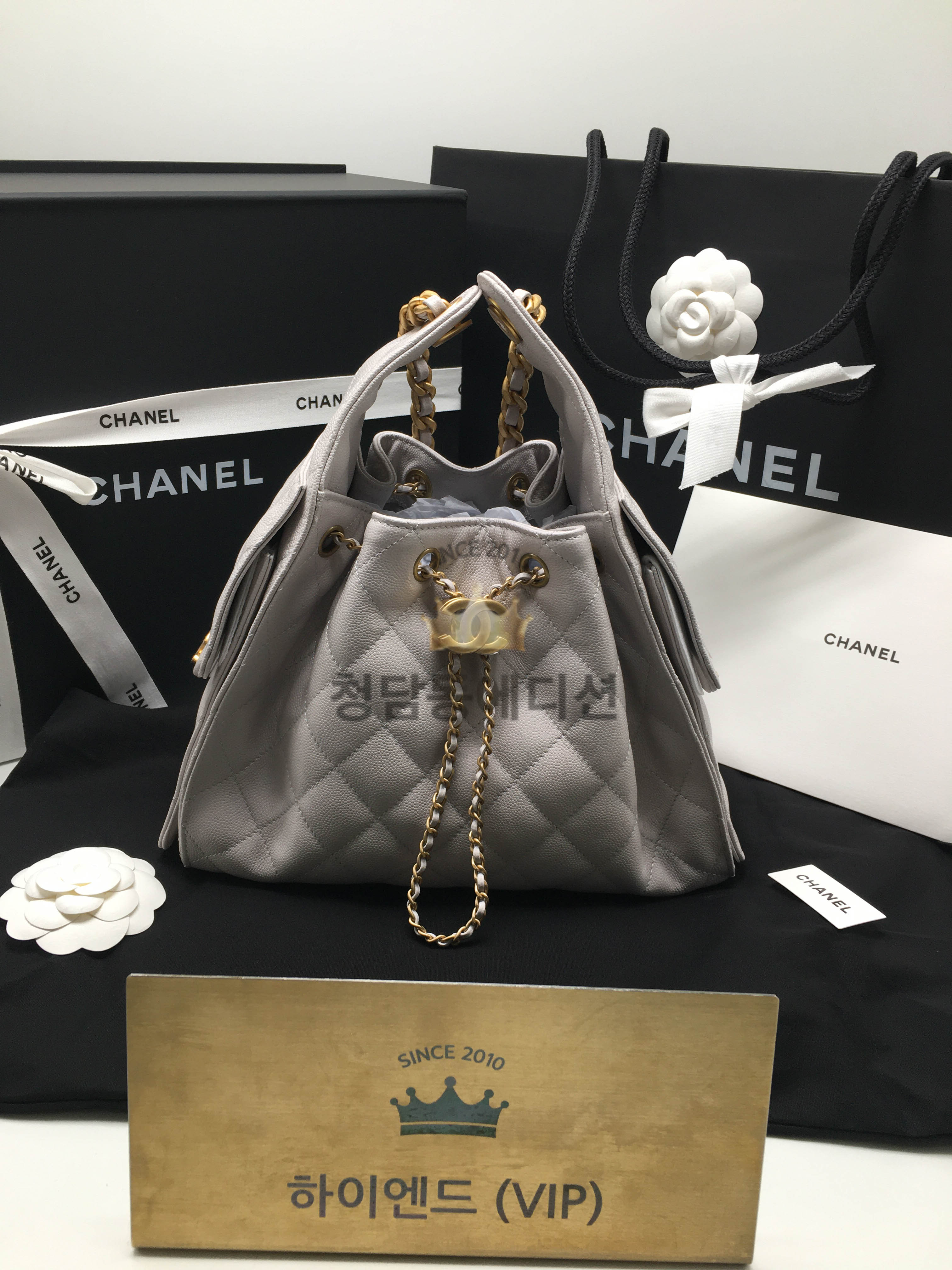 샤넬 25C 크루즈 뉴 호보백 스몰 (컬러 라이트 그레이) (25백)