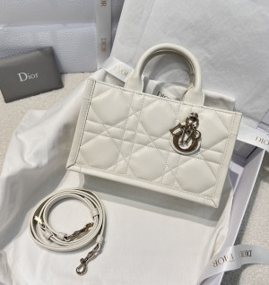 디올 북토트 미니 백 (컬러 화이트)