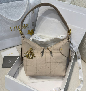 디올 보야지 voyage 스몰 백