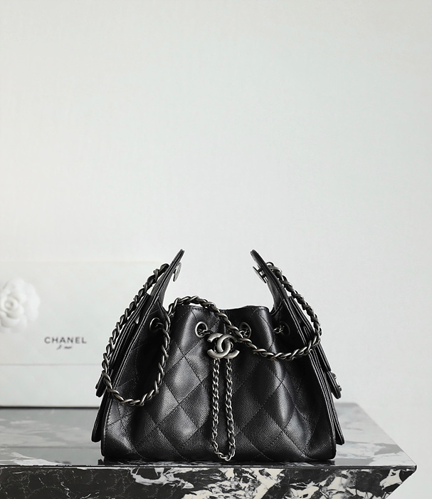 샤넬 25C 크루즈 뉴 호보백 미니 (25백)