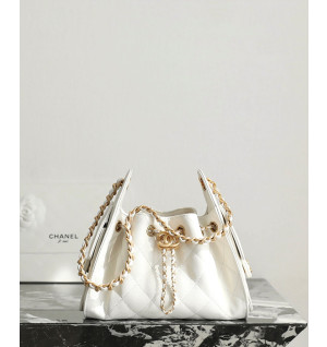 샤넬 25C 크루즈 뉴 호보백 미니 (25백)