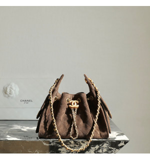 샤넬 25C 크루즈 뉴 호보백 미니 (25백)